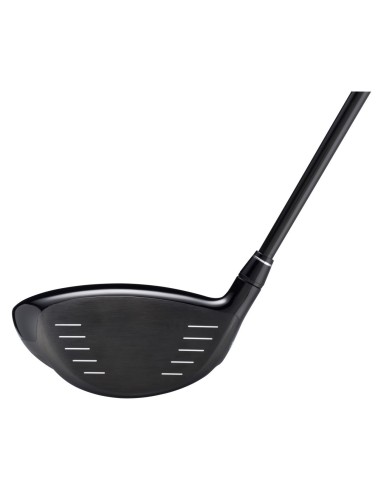 Driver Honma TW757 D