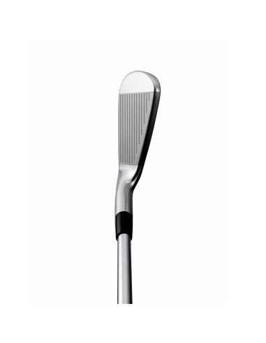 Hierros Mizuno Pro 225