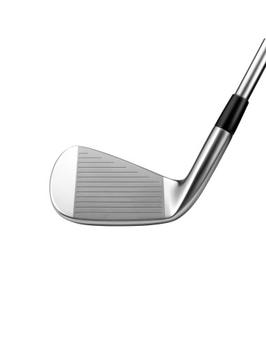 Hierros Mizuno Pro 225