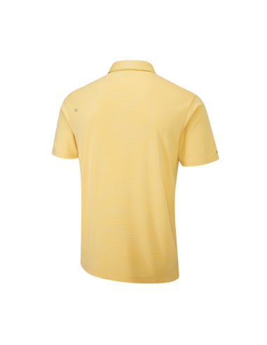 polo-ping-halcyon-p03461