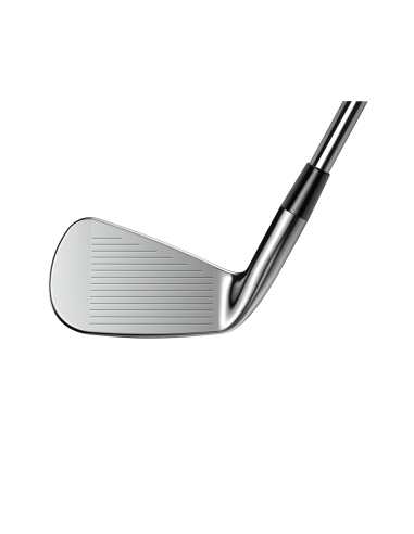 Hierros Cobra King Forged TEC