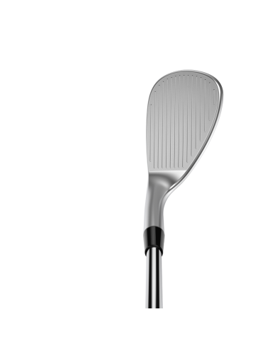 Wedge Cobra Snakebite