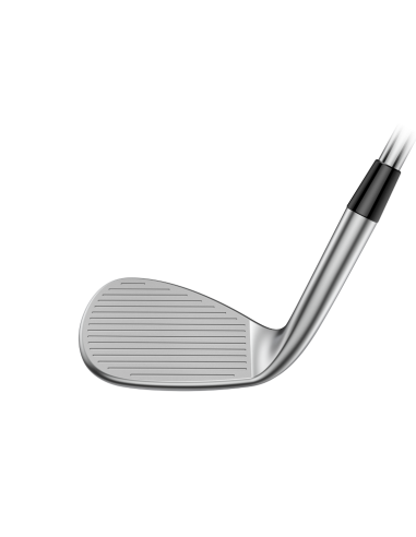 Wedge Cobra Snakebite