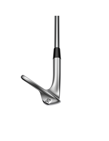 Wedge Cobra Snakebite