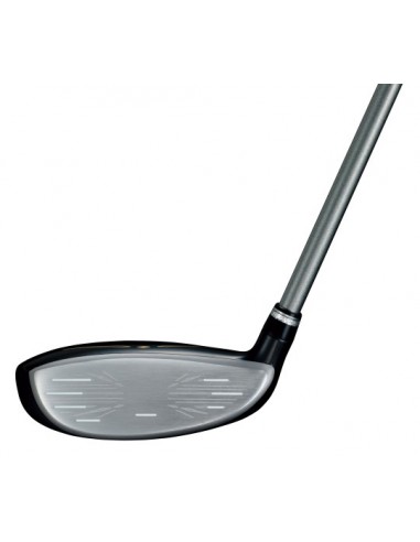 Híbrido XXIO 12 Prime