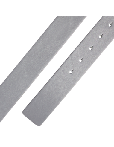 adidas Trophy tour HS5574/75 man golf Belt