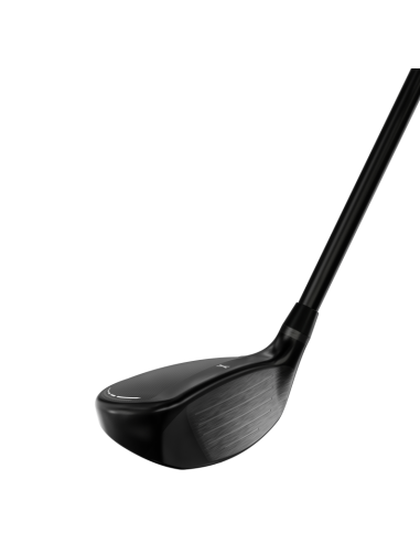 Híbrido PXG 0311XF GEN6