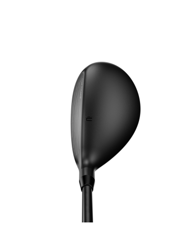 Híbrido Cobra Darkspeed