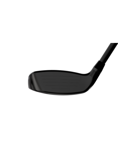 Híbrido PXG 0311 Black Ops