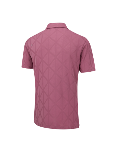 Ping Lenny P03664 men golf Polo shirt