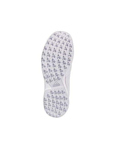 adidas Alphaflex IG3272 woman golf Shoes