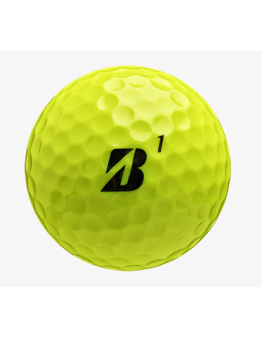 Bridgestone e6 golf Balls