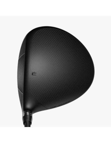 Cobra DS-ADAPT Max-D golf Driver