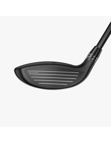 Cobra DS-ADAPT MAX golf Fairway