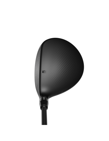 Cobra DS-ADAPT LS Fairway
