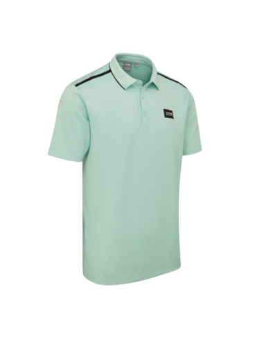 Ping Corby P03724 men golf Polo shirt