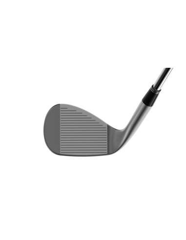 Wedge Cleveland RTZ