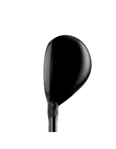 Híbrido Titleist GT2