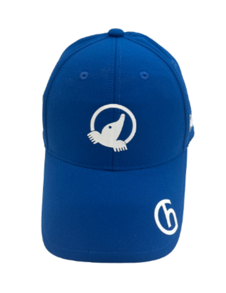 Honma HMKX018B006 golf Cap