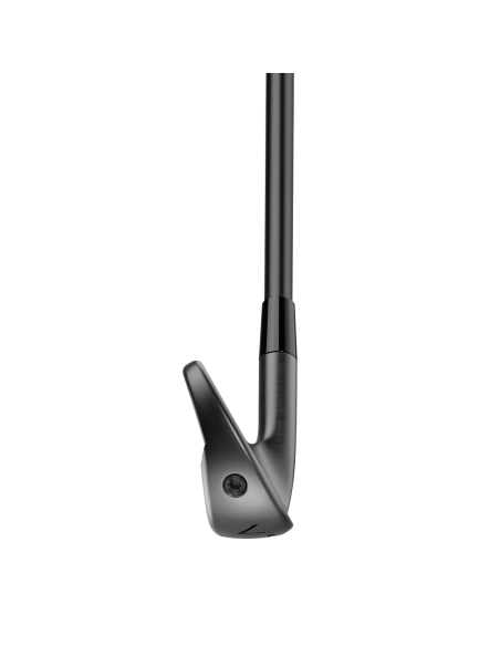 Hierros TaylorMade P790 Designer Series