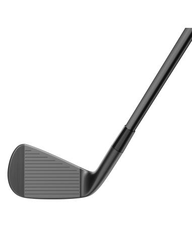 Hierros TaylorMade P790 Designer Series