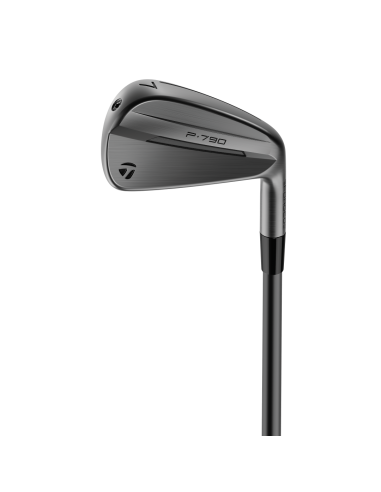 Hierros TaylorMade P790 Designer Series