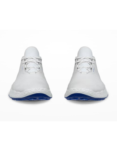 Ecco Biom H5 men golf Shoes