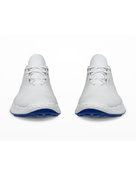 Zapatos de golf para hombre Ecco Biom H5