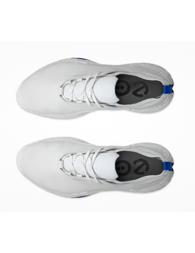 Ecco Biom H5 men golf Shoes