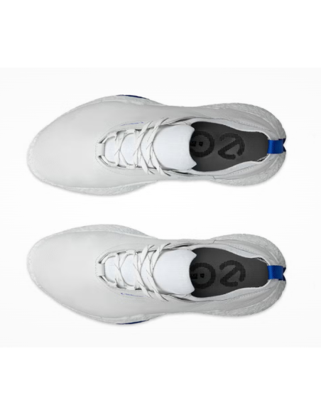 Ecco Biom H5 men golf Shoes