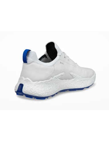 Ecco Biom H5 men golf Shoes