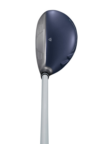 XXIO 14 golf Hybrid