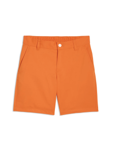 Pantalón corto Puma 636098