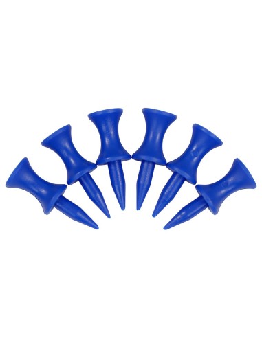 Tees Masters Graduated