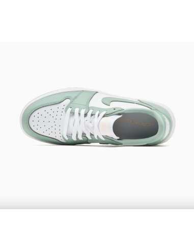 Nike Air Jordan 1 Low G DD9315 golf Shoes