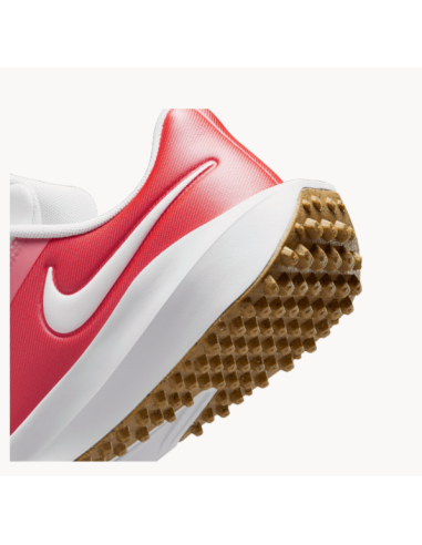 Zapato Nike Infinity golf