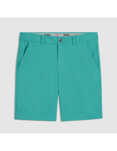 Puma 101 Pure 8" men shorts Shorts 634820