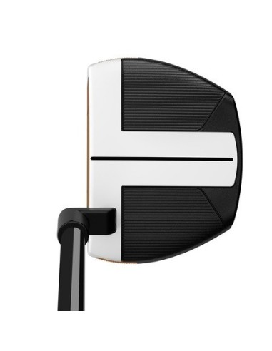 Taylor Made Spider FCG Putter