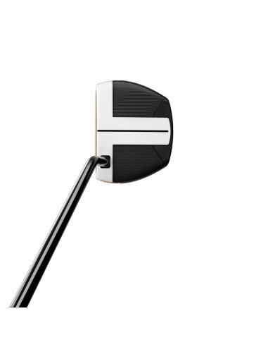 Taylor Made Spider FCG Putter