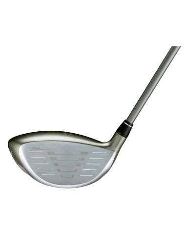 Driver Honma T//World GS
