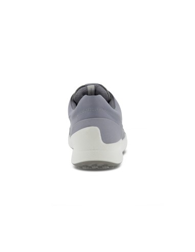Zapato Ecco Biom Hybrid 100563
