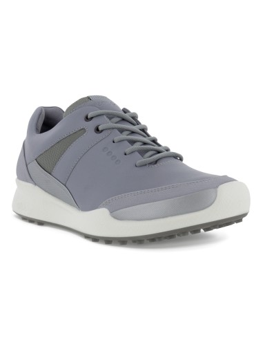 Zapato Ecco Biom Hybrid 100563