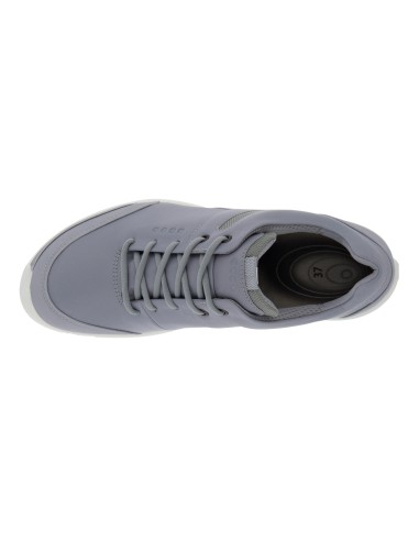 Zapato Ecco Biom Hybrid 100563