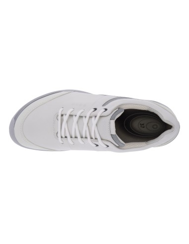 Zapato Ecco Biom Hybrid 100563