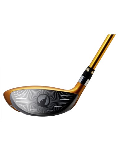 Honma Beres 08 Aizu 3 stars Fairway