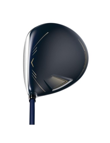 XXIO 12 Driver