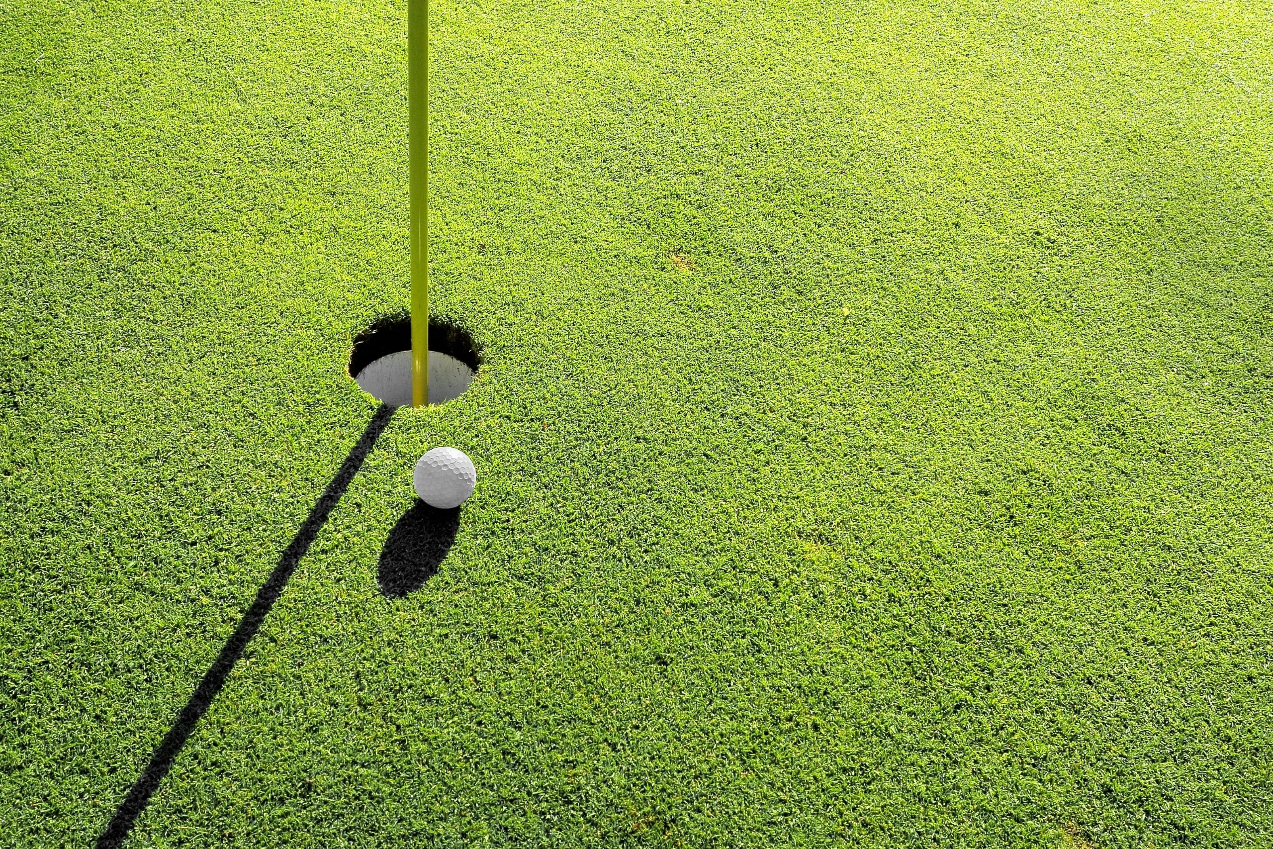 Putter mallet vs blade: